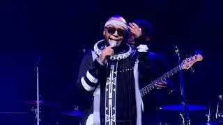 The 12th Anniversary Concert Highlights