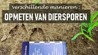 Opmeten van diersporen, het begint met het juiste gereedschap!