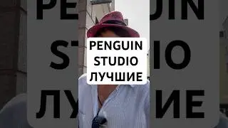 PENGUIN STUDIO ЛУЧШИЕ #рекомендации #ит #разработка #программирование #сайты #мобильныеприложения