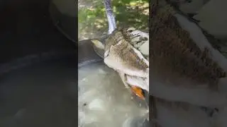 Уха от РЫБАКА ! Рецепт УХИ ДЛЯ ОТЛИЧНОГО ОТДЫХА НА ПРИРОДЕ В УАЗАНЕ, на костре