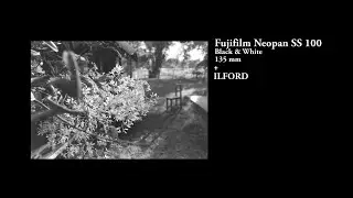 Fujifilm Neopan SS100