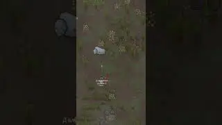 Как охотиться на муффало / Rimworld / Мод «Multiplayer»