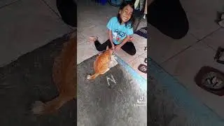 Naifa sayang kucing semoga menjadi anak yang pintar dan masa depan cemerlang