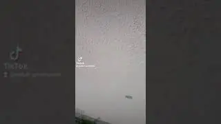 Муха тоже вертолёт без коробки передач...