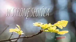 🚩 W stronę słońca - Fotografia jest Fajna