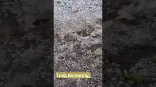 #град