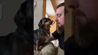 Why dogs are a man's best friend... 🥺
