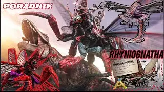ARK: RHYNIOGNATHA - Nowy dinek | Poradnik, omówienie | Ark: Survival Evolved Poradnik PL
