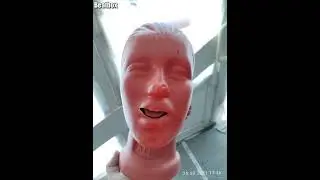 анекдот от Алисы