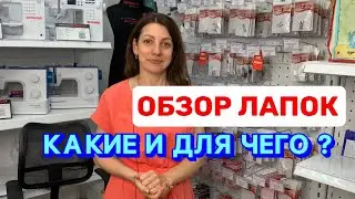 Для чего нужны все эти лапки ?