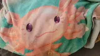 ⋆. 𐙚 ˚axolotl plush throw blanket (˶˃ ᵕ ˂˶) review⊹₊⟡⋆