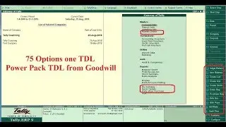 Amazing and useful 75 Tally TDL ,   Important Tally  Add on for Accountants and Business People