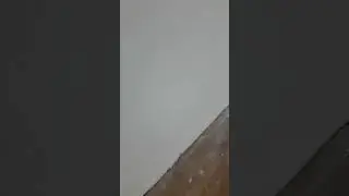 РуКоПоП 100lvl😂😂😂