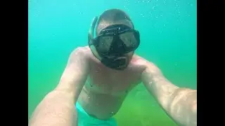 Как я Ловил и Готовил мидии! Встреча со Змеей! Ночная Подводная Охота! №29