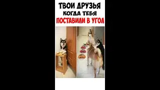 МЕМЫ 2021 Подборка мемов за ДЕНЬ! Самые смешные мемы 2021! Лучшие мемасики за 60 секунд 