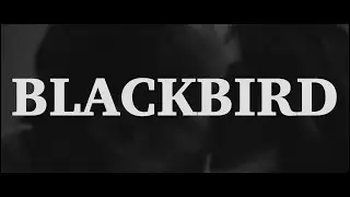 Blackbird (2018, Kickstarter Promo)