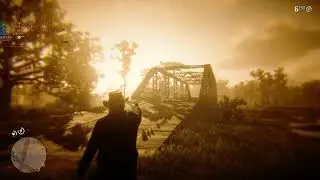 Red Dead Redemption 2 GTX 960m Gameplay Test