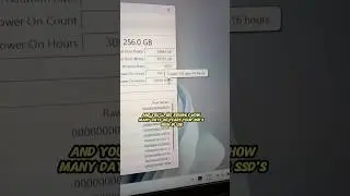How to Check If Your SSD Is Failing | CrystalDiskInfo Explained 🔍