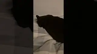 Тут скорее Папенькин Сынок😂