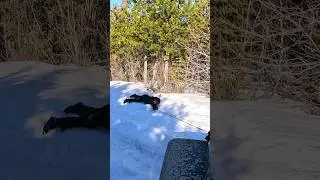 Stuck and Paralyzed
