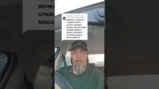 Волк не собака , кабан не свинья.