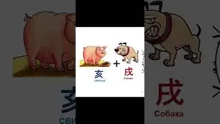 Сети неба и земли