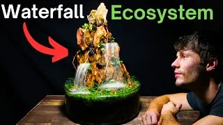 Building An Epic Dragonstone Waterfall Ecosystem!