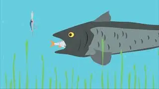 Aquatic food chain