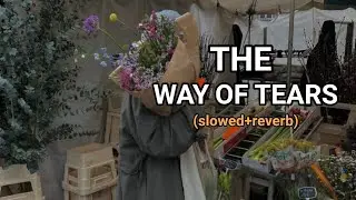 The Way Of Tears|By Muhammad Al Muqit|slowed + reverb