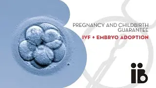 Pregnancy and childbirth guarantee. IVF + embryo adoption