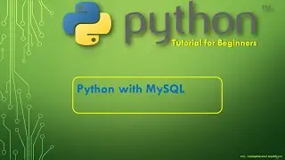 Python Tutorial: Python with MySQL