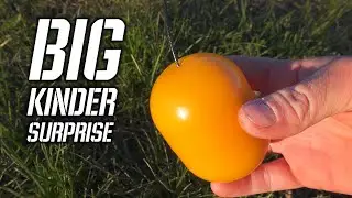BIG KINDER SURPRISE (EXPERIMENT WITH YELLOW CAPSULE)