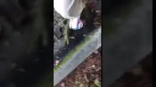Stomping on can sound effect