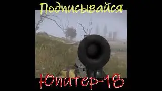 Вот это поохотился #сталкер #stalkermods #stalker #stalkermod #lostalpha #игры #хобби