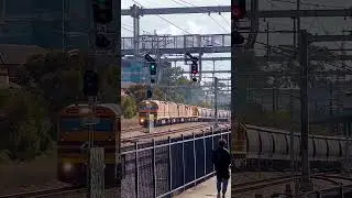 Vintage power on a grain train #railway #sydneytrains #train #railways