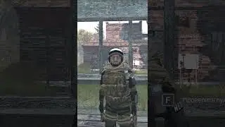 дамы и господа  #stalkerrp #dayz #dayzrp #games #survival #игры #сталкер