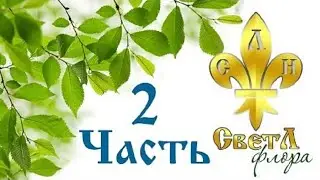 Генератор СветЛ-Флора. Часть 2