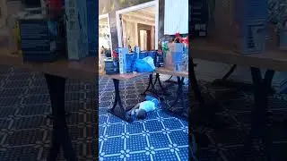 ТОЙДЫ  ЖАРҒАН  БАЛА.😂😂😂🤳🤳🤙
