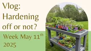 Garden Diaries May 11th | The Hardening off struggle is REAL!
