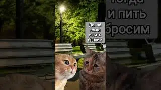 Экономия #животные #animal #animals #мем #pet #мемныекоты #котыговорят #анекдот #кот #коты #прикол