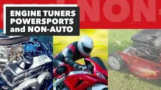 NGK Spark Plugs - What's in our Box