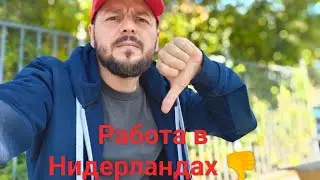Работа в Нидерландах 👎Мой опыт на DHL