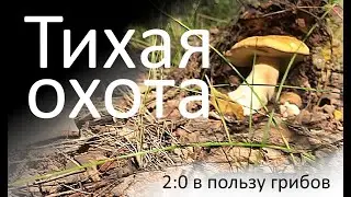 Охота не в нашу пользу