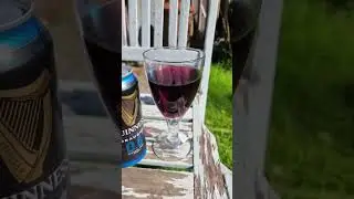 What an idiot I am