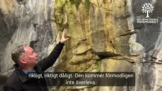 Bortspolade spindlar i tunnelbanan