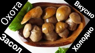 СБОР ГРИБА В НОЯБРЕ, ЗАСОЛКА И ДЕГУСТАЦИЯ ВКУСНЯТИНЫ  ВСЁ В ЭТОЙ СЕРИИ, ПОДМОСКОВЬЕ 2020