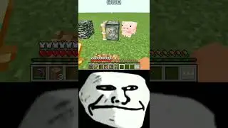 Minecraft Logic, Someone🗣️: Bedrock Impossible to Break. 