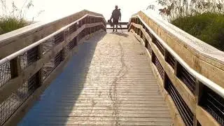 Пляжники ~ Jacksonville Beach ⛱