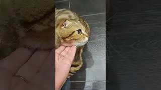 Любимое слово и непослушный ус😃😄