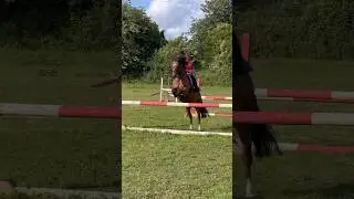 Jumping in the field 